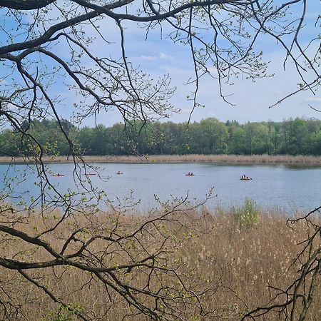 Przystan Natura Iława エクステリア 写真